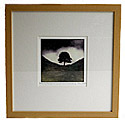 Framed print The Robin Hood Tree